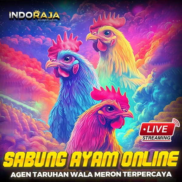 SV388 > Login Agen Situs Sabung Ayam Online Resmi Live Sabong Arena Pilihan No.1